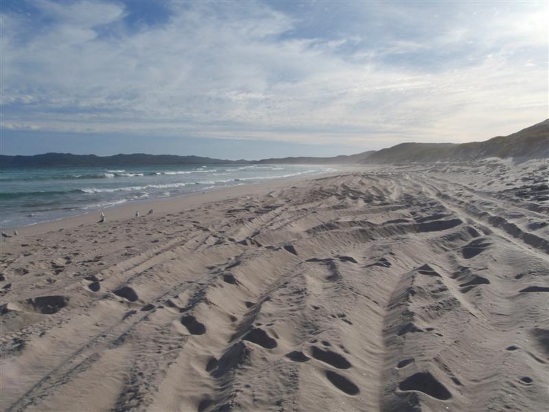 P3300426 (Medium).JPG