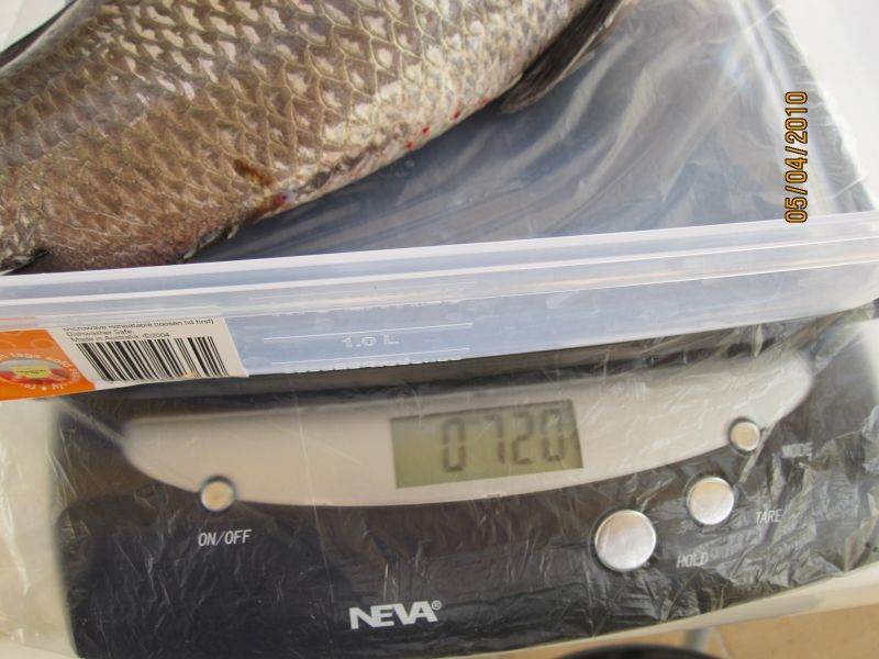 The Monster-2_reduced.jpg