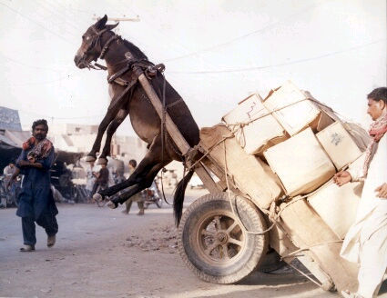Afghan Courier Service.jpg
