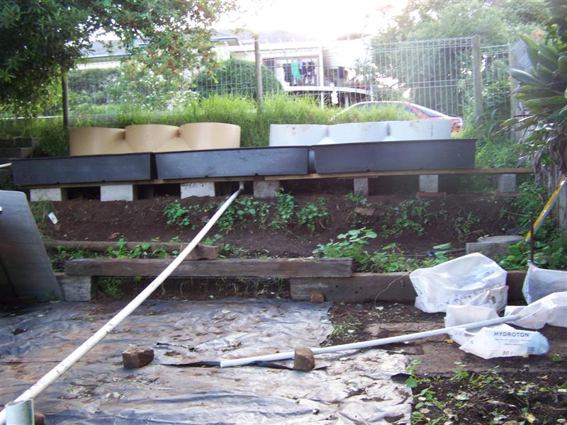 100_4526 (Medium).JPG