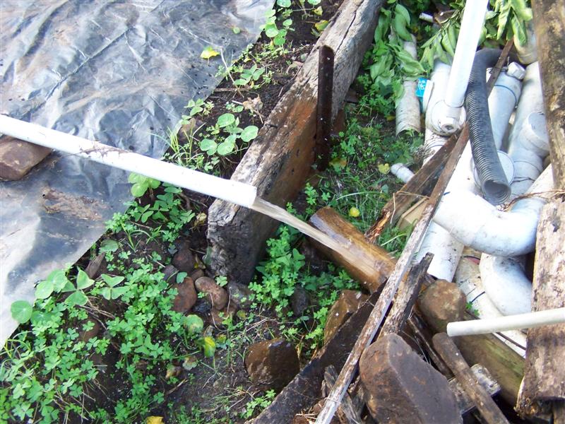 100_4527 (Medium).JPG