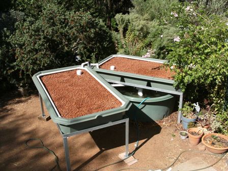 aquaponics 011 small.jpg