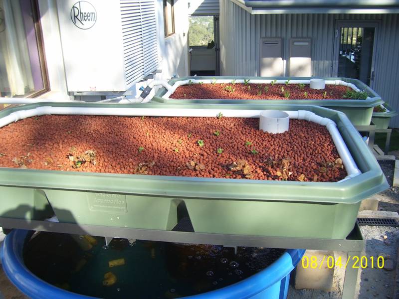 Orchard-Feb-2010 001.jpg