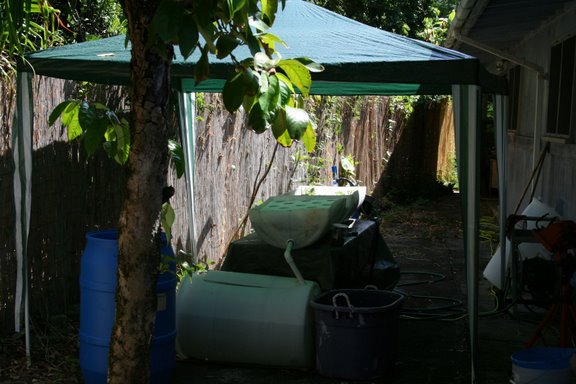 myaquaponics_013.jpg