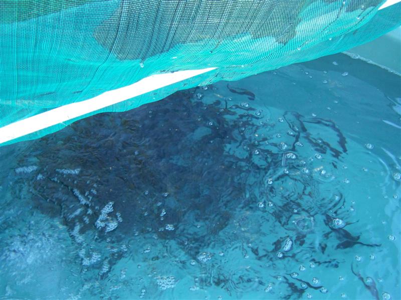 100_4536 (Medium).JPG