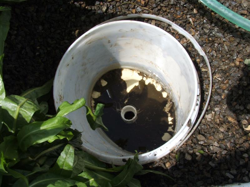 DSCF3593 (Medium).JPG