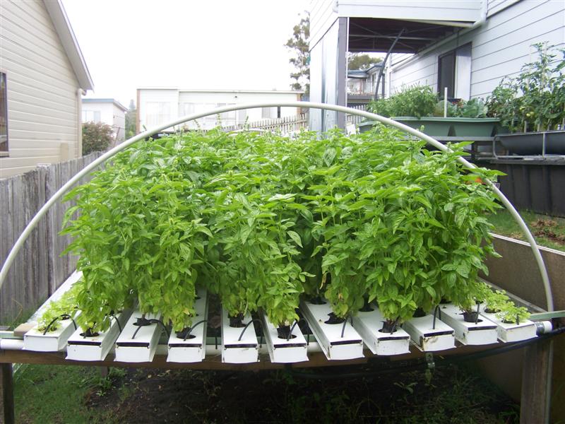 100_2685 (Medium).JPG