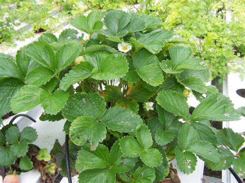 100_4280 (Medium).JPG