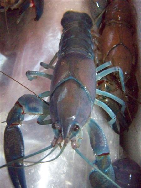 100_4542 (Medium).JPG