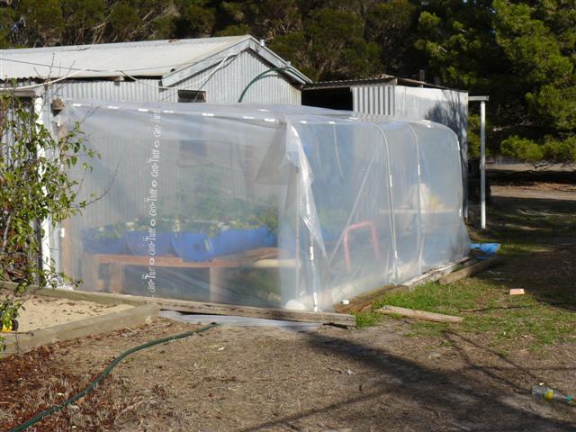 aquaplonic april 2010 001 (Small).jpg