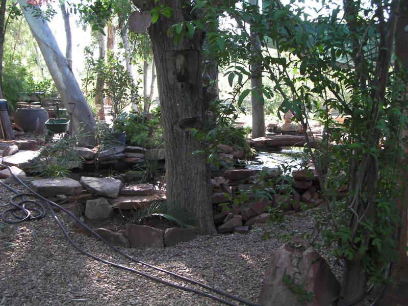 Pond progress 14th Ap 2010 (Medium).JPG