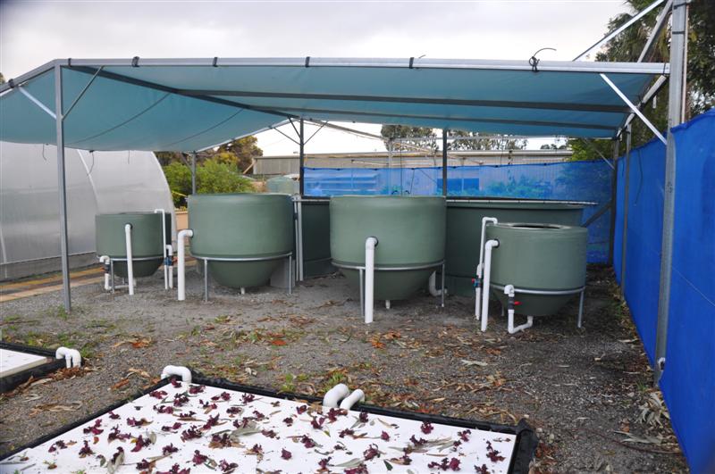 DSC_0059 (Medium).JPG