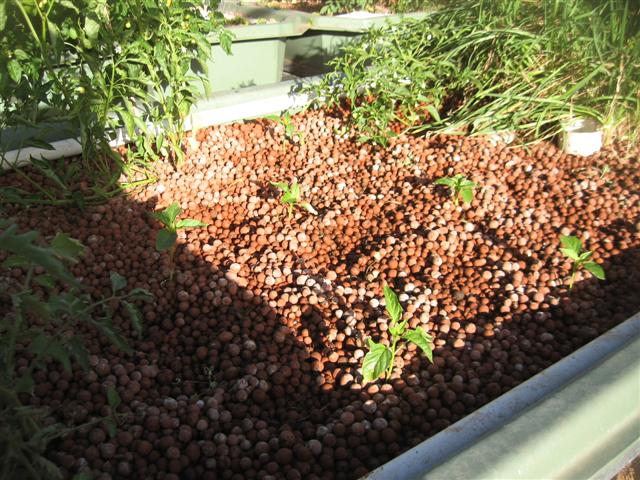 starting over....yet again 006 (Small).jpg