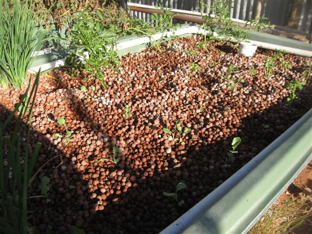 starting over....yet again 007 (Small).jpg