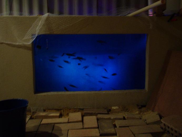 pond and stuff 034sml.jpg