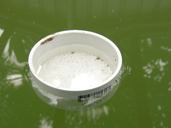 tn_Test flotation third full.JPG