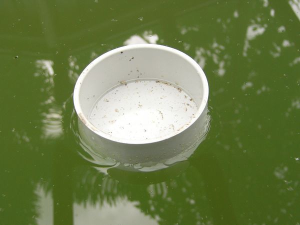 tn_Test Flotation empty.JPG