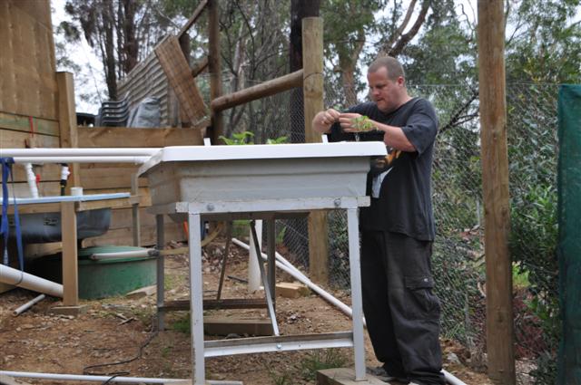 Picture 007 (Small).jpg