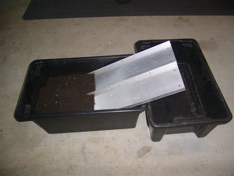 Black Soldier Flies - 19 Feb 07 004 (Medium).jpg