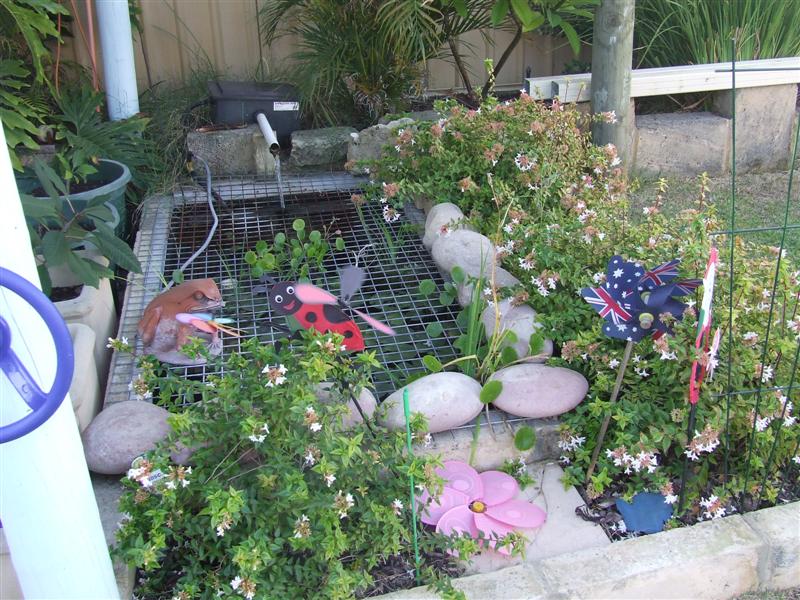 DSCF3594 (Medium).JPG