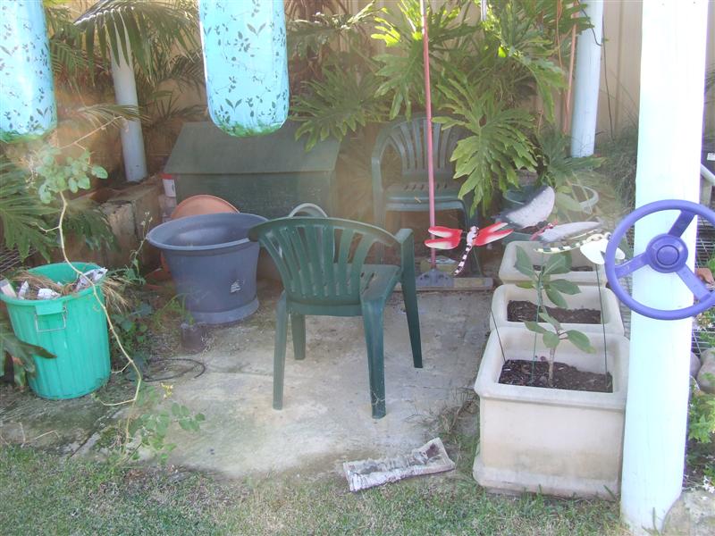 DSCF3593 (Medium).JPG