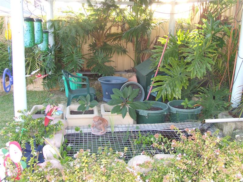 DSCF3597 (Medium).JPG