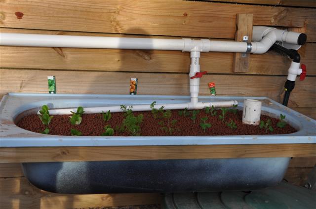 Bed 2_with Vegies (Small).jpg