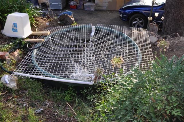 The Fish Tank_ready for fish (Small).jpg