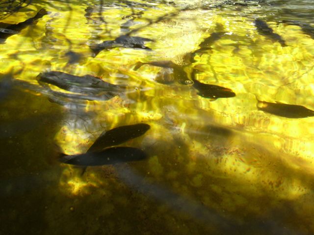 27042010 117 small.jpg