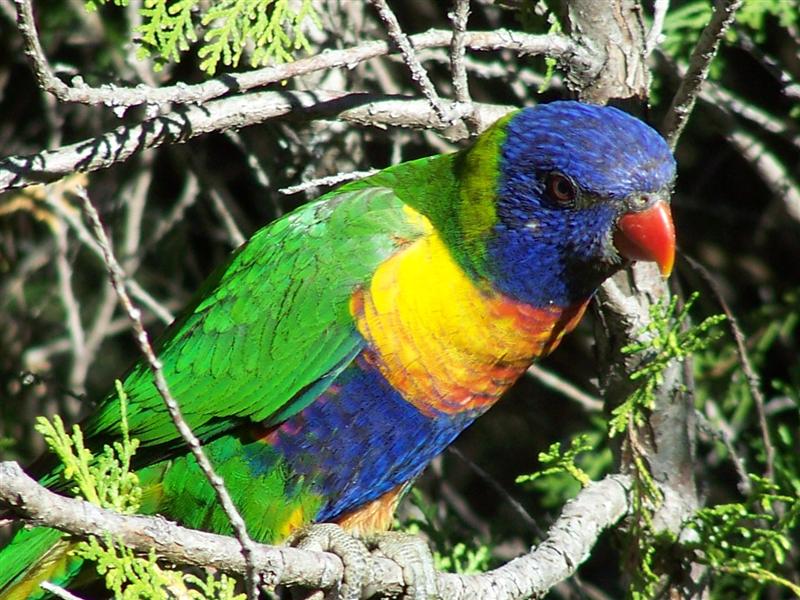 100_4584 (Medium).JPG