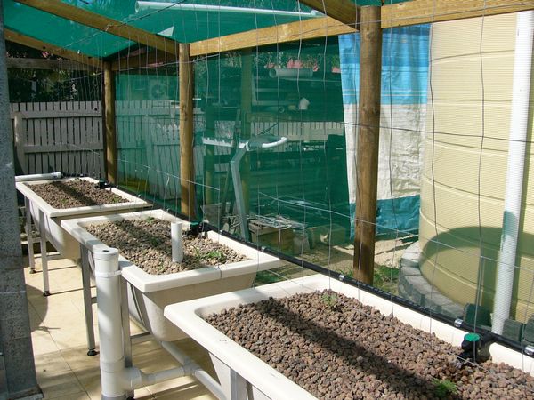 tn_mesh4 vine stuff.JPG