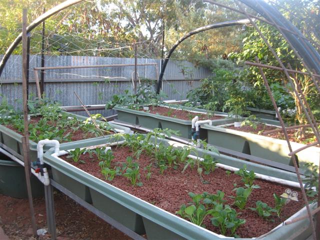 here we go again 001 (Small).jpg