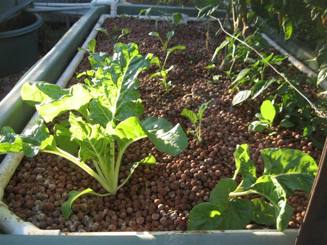 here we go again 003 (Small).jpg