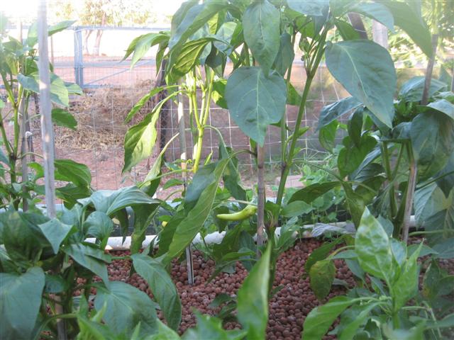 here we go again 005 (Small).jpg