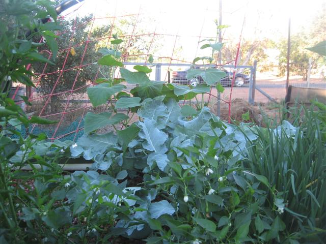 here we go again 006 (Small).jpg