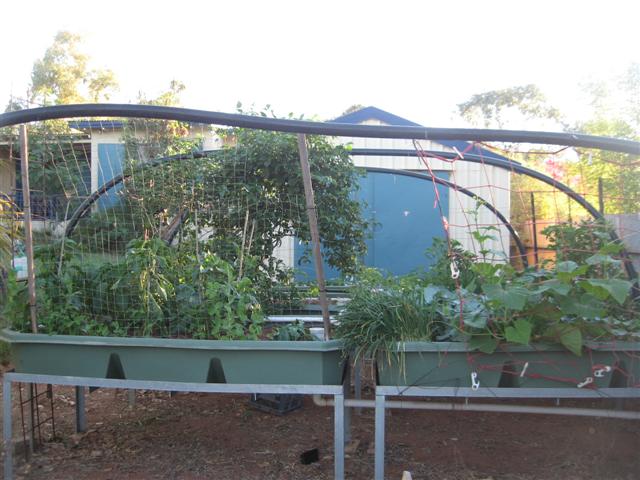 here we go again 007 (Small).jpg