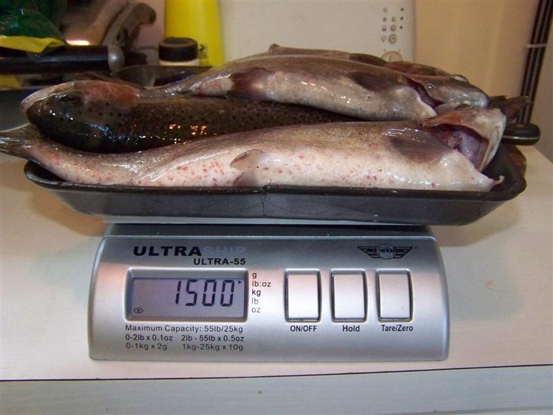 100_4588 (Medium).JPG