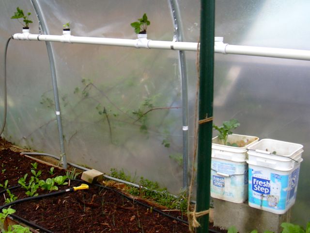 Hose from ST to NFT.jpg