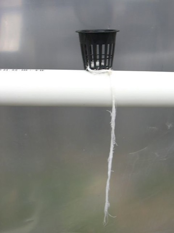 Cheesecloth wick.jpg