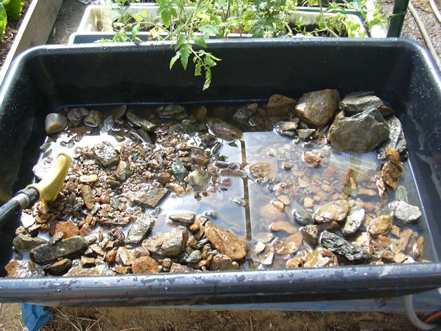 Rocks from stream.jpg