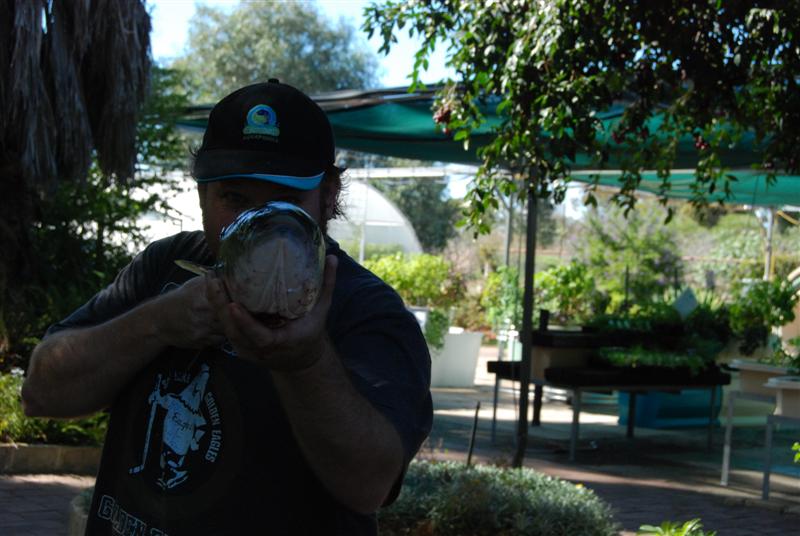 DSC_0379 (Medium).JPG