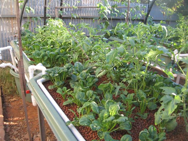 here we go again 008 (Small).jpg