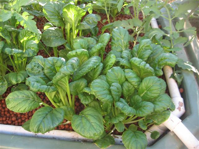 here we go again 009 (Small).jpg