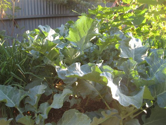 here we go again 013 (Small).jpg