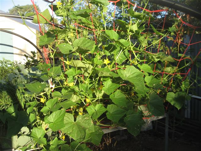 here we go again 016 (Small).jpg