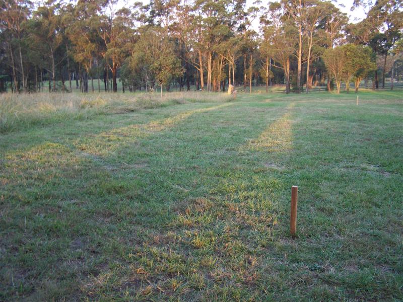 100_4591 (Medium).JPG