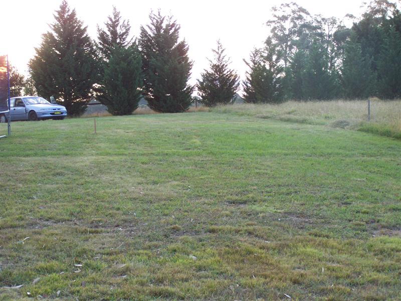 100_4597 (Medium).JPG