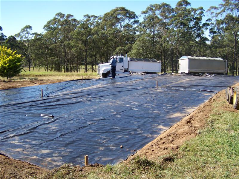 100_4615 (Medium).JPG