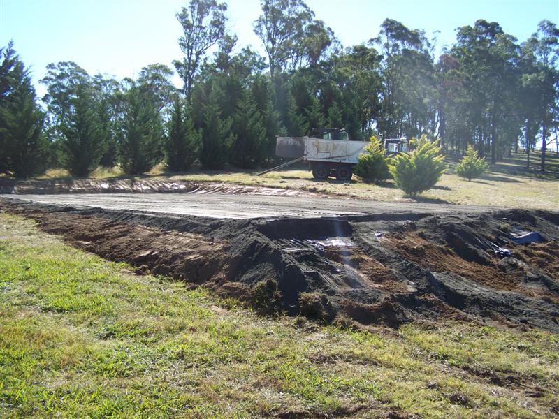 100_4619 (Medium).JPG