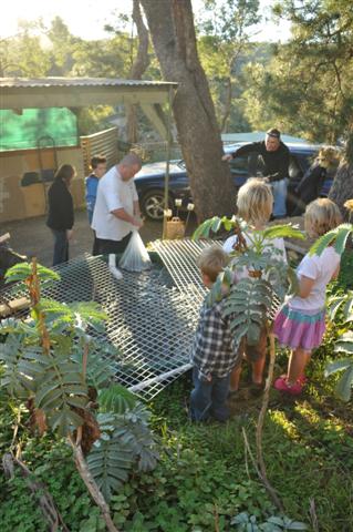 Adding the trout attracted the neigbours.jpg